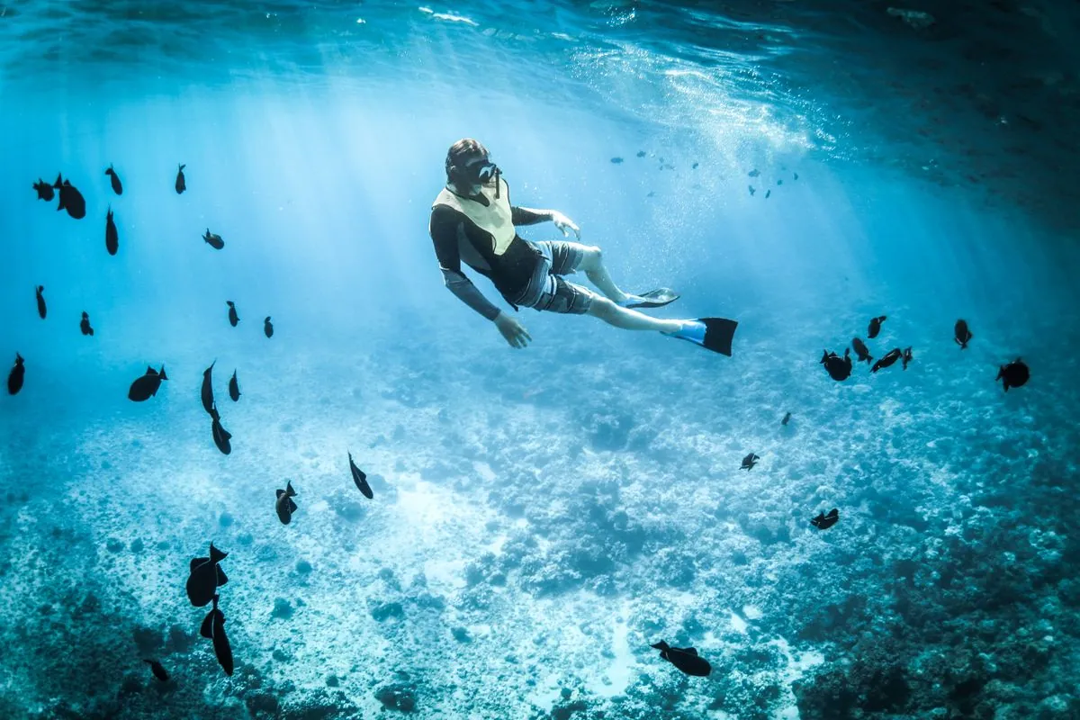 Kejernihan air laut untuk snorkeling keluarga